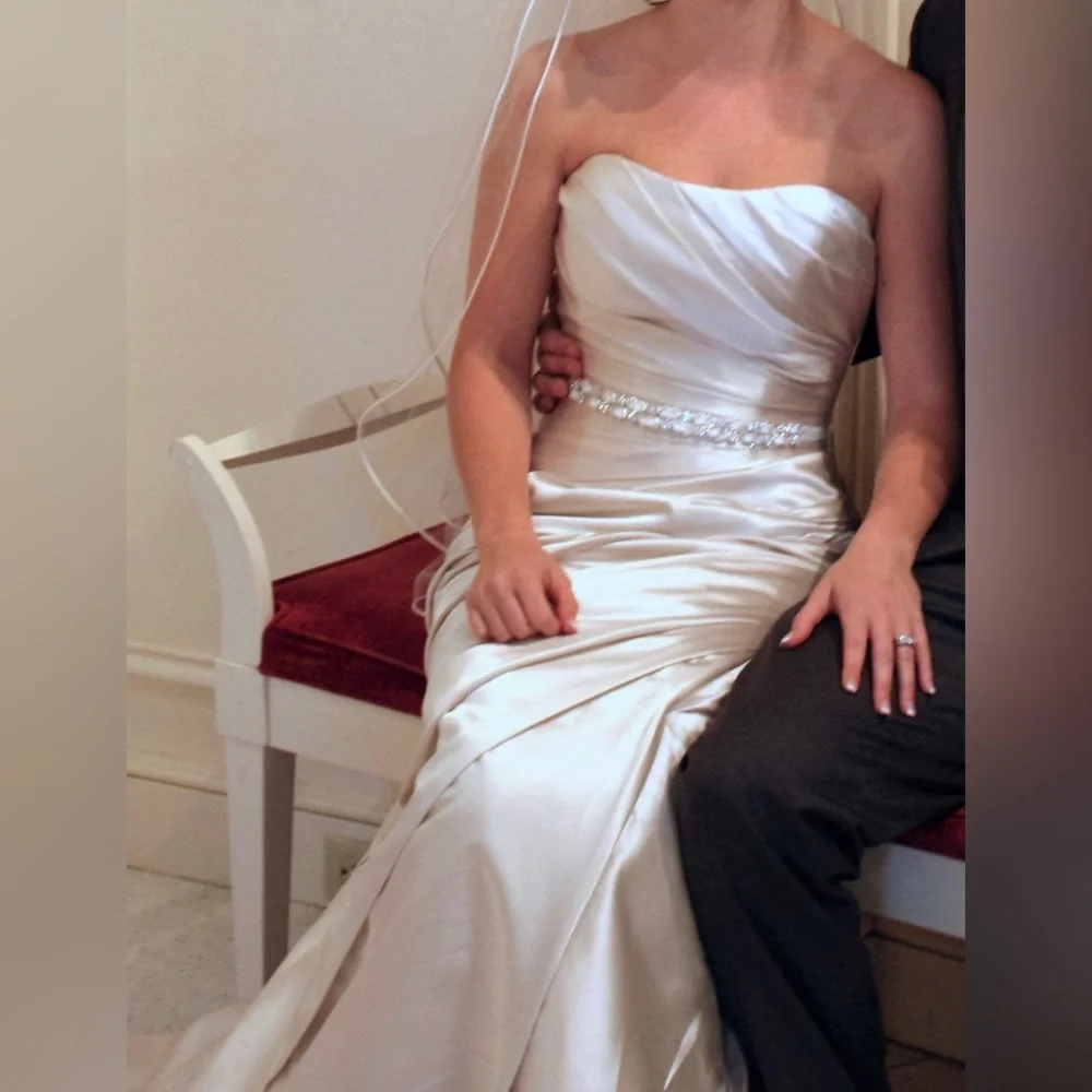 Pronovias Wedding Dress - Picture 4 of 8